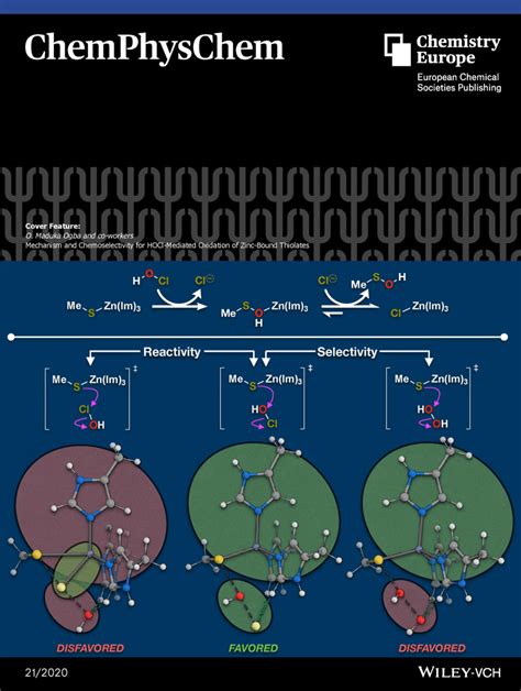 Cover Feature: Mechanism and Chemoselectivity for HOCl‐Mediated Oxidation of Zinc‐Bound ...