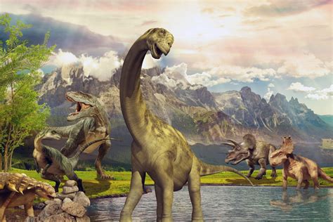 Did Dinosaurs really exist? - History To Know