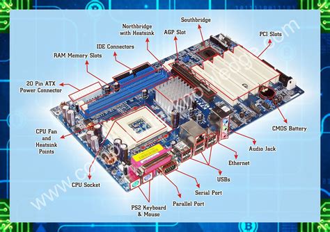 Contoh Layout Pabrik Manufaktur Motherboard Parts Labeled Of A Animal Cell - IMAGESEE