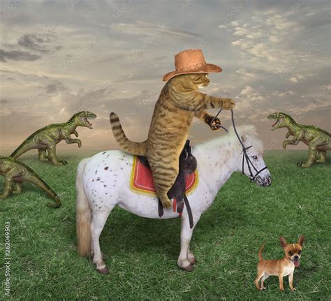 Foto de The cat cowboy in boots on a white horse grazes a herd of ...