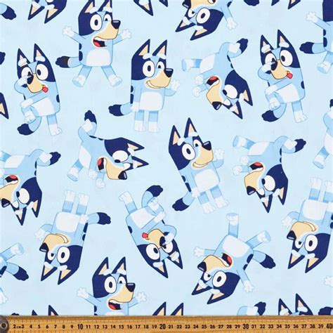 Bluey Pattern Background