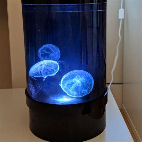 C8 Nano Jellyfish Aquarium starter kit Pet Jellyfish At Home – CanadaJellyfish