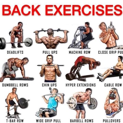 BEST BACK EXERCISES . . 3 reasons why you should workout your back ...