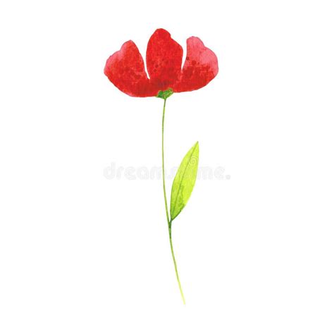 Red poppy clip art stock photo. Image of card, element - 205457736