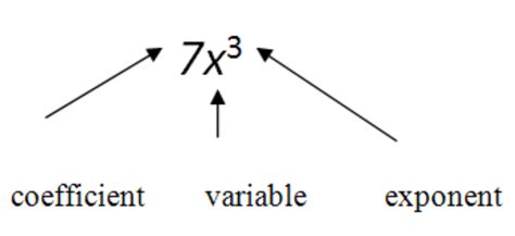 Multiplying Monomials | CK-12 Foundation