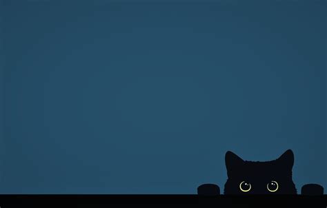 Black Cat Minimalist Wallpapers - Wallpaper Cave