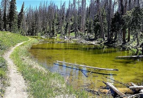 Best Lakes in Utah You'll Love Going To!