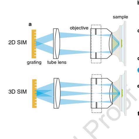 (PDF) Practical Structured Illumination Microscopy