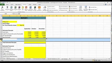 Cash Budget Template Excel For Your Needs