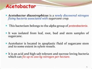 Biofertilizers: Improve soil health and crop productivity | PPT