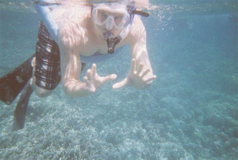 Big Island Snorkeling: Guide to Snorkeling on the Big Island of Hawaii