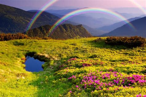 Mountain Landscape With Flowers And A Rainbow Stock Photo - Image of ...