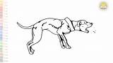 Hungry barking dog drawing  Dog Outline Sketches How To draw sketch template