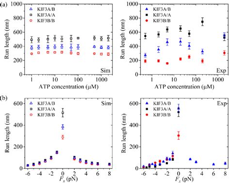 Kinesin-2 run length as a function of [ATP] and force. Left panels show... | Download Scientific ...