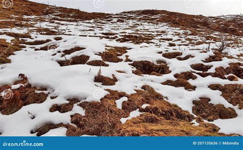 Snowfall at Patnitop stock photo. Image of snowfall - 207135636