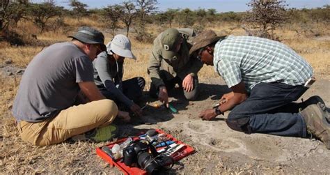 Ancient Footprint Found In Africa Linked To Unknown Human Ancestor