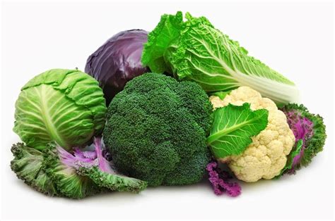 Is broccoli good for you? Meet the crucifer family — Health & Wellness — Sott.net