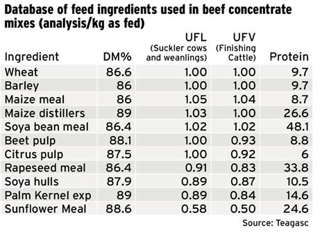 Beef management: how to choose the best ration formulation - 01 November 2017 Premium