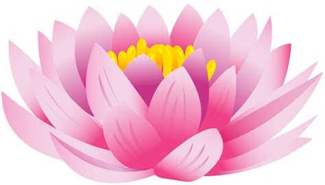 Lotus clipart floral, Lotus floral Transparent FREE for download on WebStockReview 2024