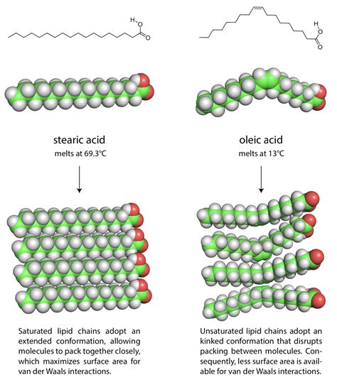 Unsaturated Fats Structure