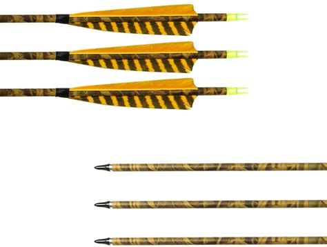 Types of Arrows Used for Hunting – Informative Guide and Top Picks