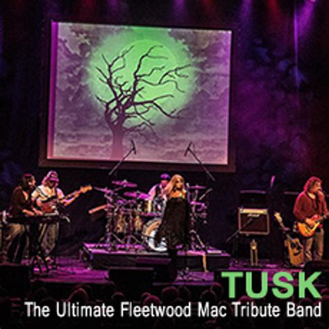 Stream Tusk - performed by TUSK - The Ultimate Fleetwood Mac Tribute by ...