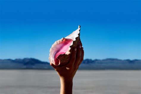 Is the new Killers album Wonderful Wonderful? – Wolf Tracks