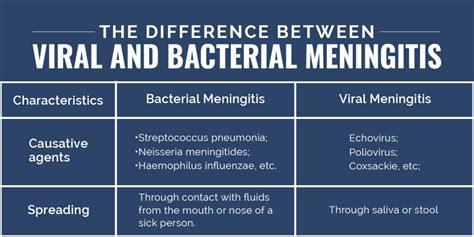 The Difference Between Viral And Bacterial Meningitis