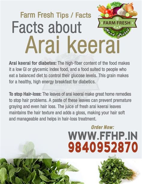 Health Benefits of Amaranthus Tricolor (Arai keerai)! | Fruit benefits, Fresher tips, Health and ...