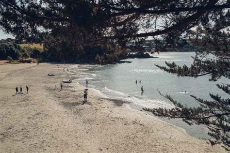 Waiheke Island Beaches, Paradise in New Zealand