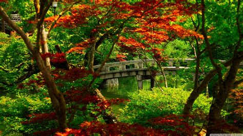 Japanese Garden Wallpapers - Top Free Japanese Garden Backgrounds ...