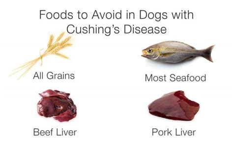 Treating Cushing’s Disease in Dogs — Diets, Natural Remedies, and Medicines | Darwin's Natural ...