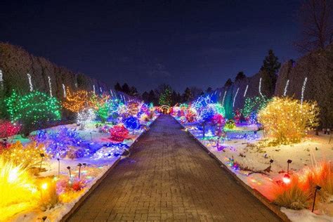 Blossoms of Light Denver Botanic Gardens is one of the very best things ...