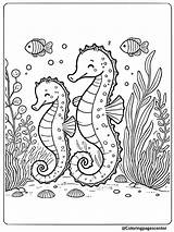 Free Printable Seahorse Coloring Pages sketch template