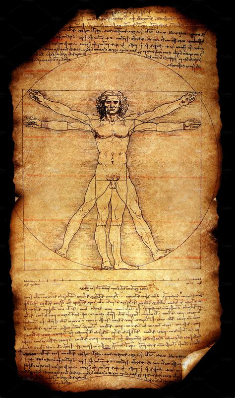 Vitruvian man containing anatomical, anatomy, and architecture | School & Education Stock Photos ...