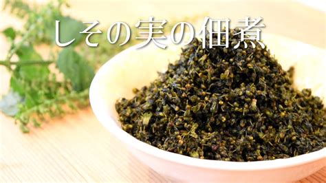 Japanese Shiso herb seeds Tsukudani recipe Shisonomi Tsukudani - YouTube