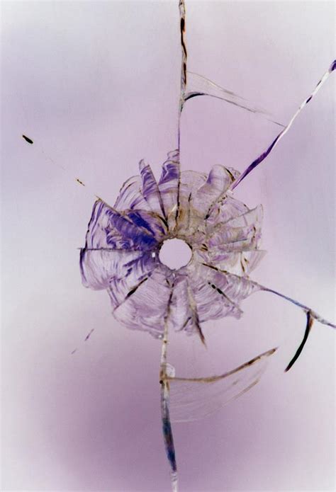 Bullet Hole In Glass Photograph by Sheila Terry/science Photo Library ...