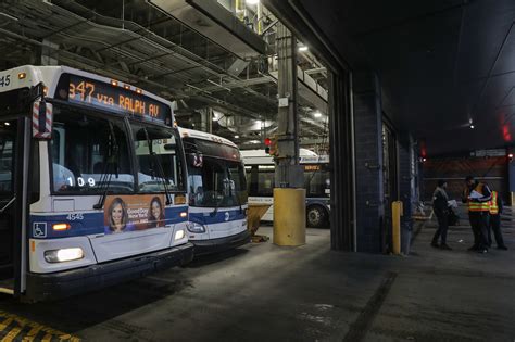 Aggressive raccoons have invaded MTA bus depots