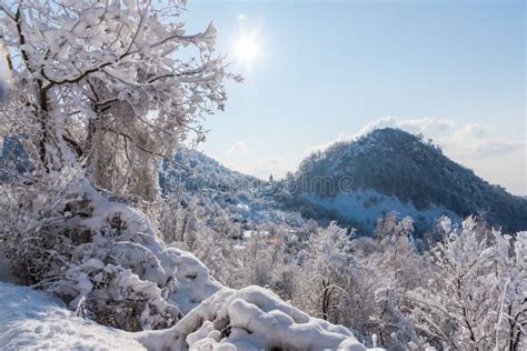 Winter Landscape in the Cold Winter Romania Stock Image - Image of ...