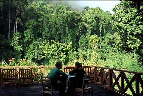 Danum Valley, Sabah, Borneo