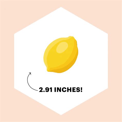 Baby Size by Week: A Developmental Timeline