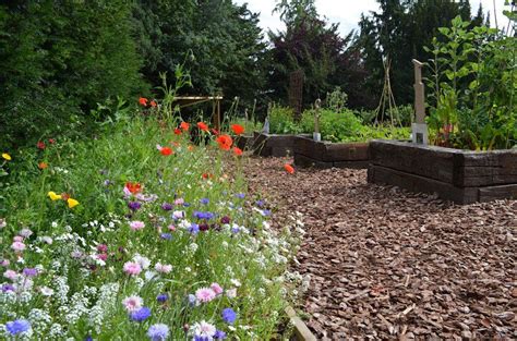 WILD FLOWER BORDER | Waterlow Park wildflower border. © Waterlow Park * | Cottage garden design ...