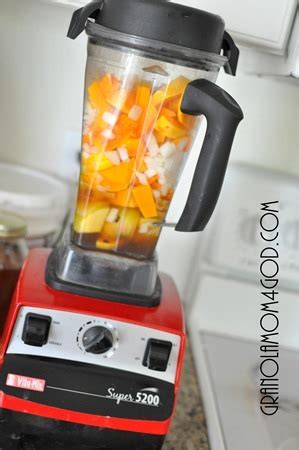 Vitamix Apple Butternut Squash Soup - Jodi McKennaJodi McKenna