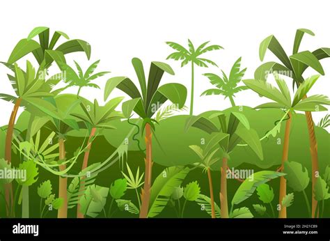 Vines trees rainforest Stock Vector Images - Alamy