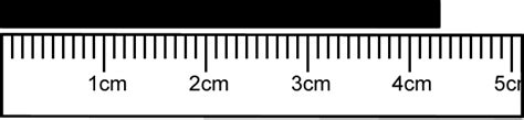 Meet our metre friends! - Richardson Endowed Primary