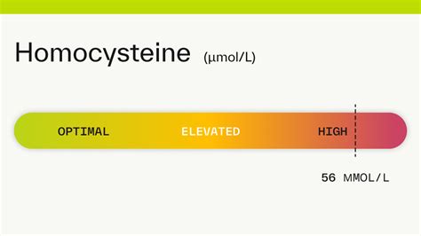 Homocysteine: 56 µmol/L