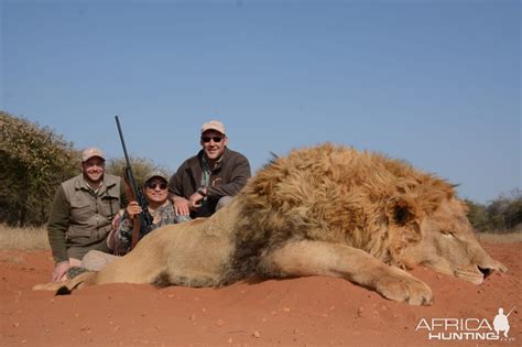 Hunting Lion in South Africa | AfricaHunting.com