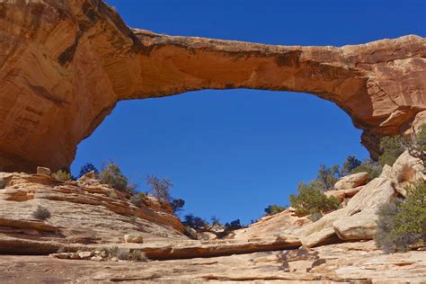 Earthline: The American West: Natural Bridges National Monument: Three Bridge Loop, Deer Canyon