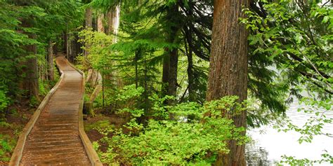 Lost Lake Campground - camping in Oregon