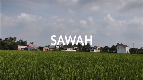 SAWAH | CINEMATIC VIDEO 4K - YouTube